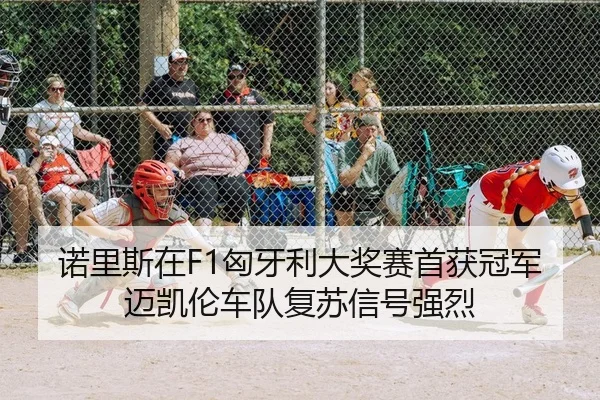 诺里斯在F1匈牙利大奖赛首获冠军 迈凯伦车队复苏信号强烈（PG）